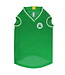 Celtics Jersey