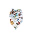 FISH & BONE Dog Birthday Party Bandana