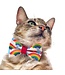 MADE BY CLEO Cat Bow Tie Rainbow Magic