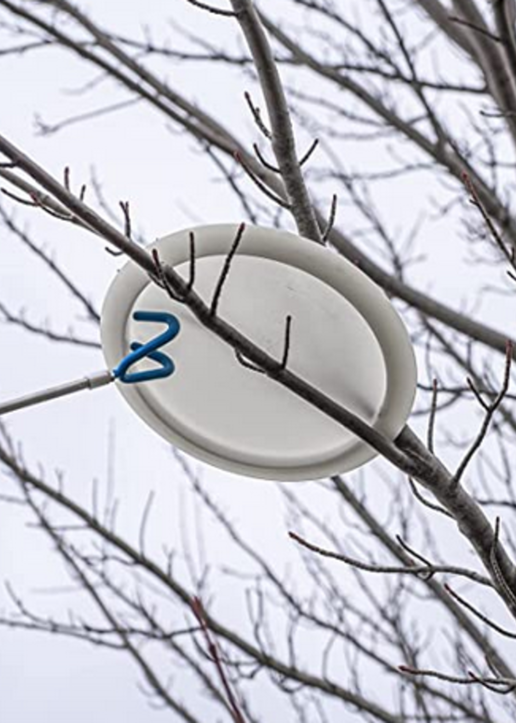 Dynamic Discs Dymanic Disc  Retriever