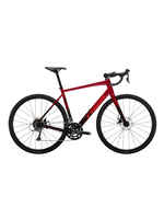 TREK Trek Domane AL 2 Gen 4 (2024)