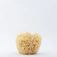 • Natural Sponge